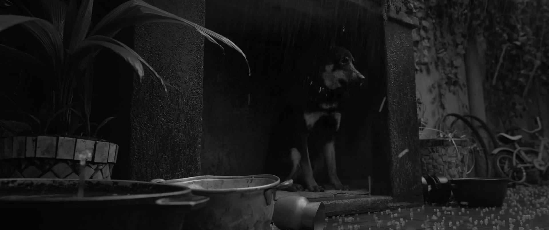 wait