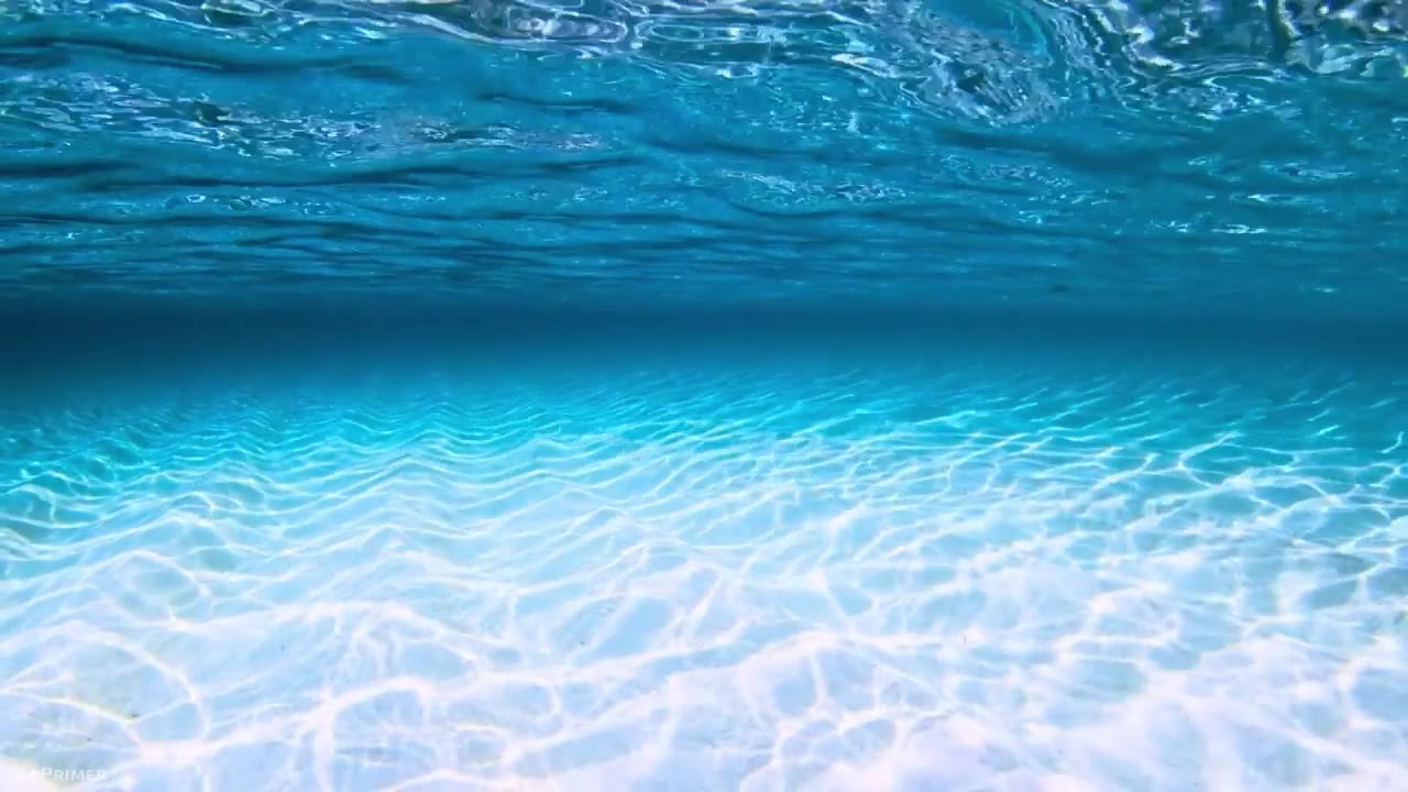 Wave