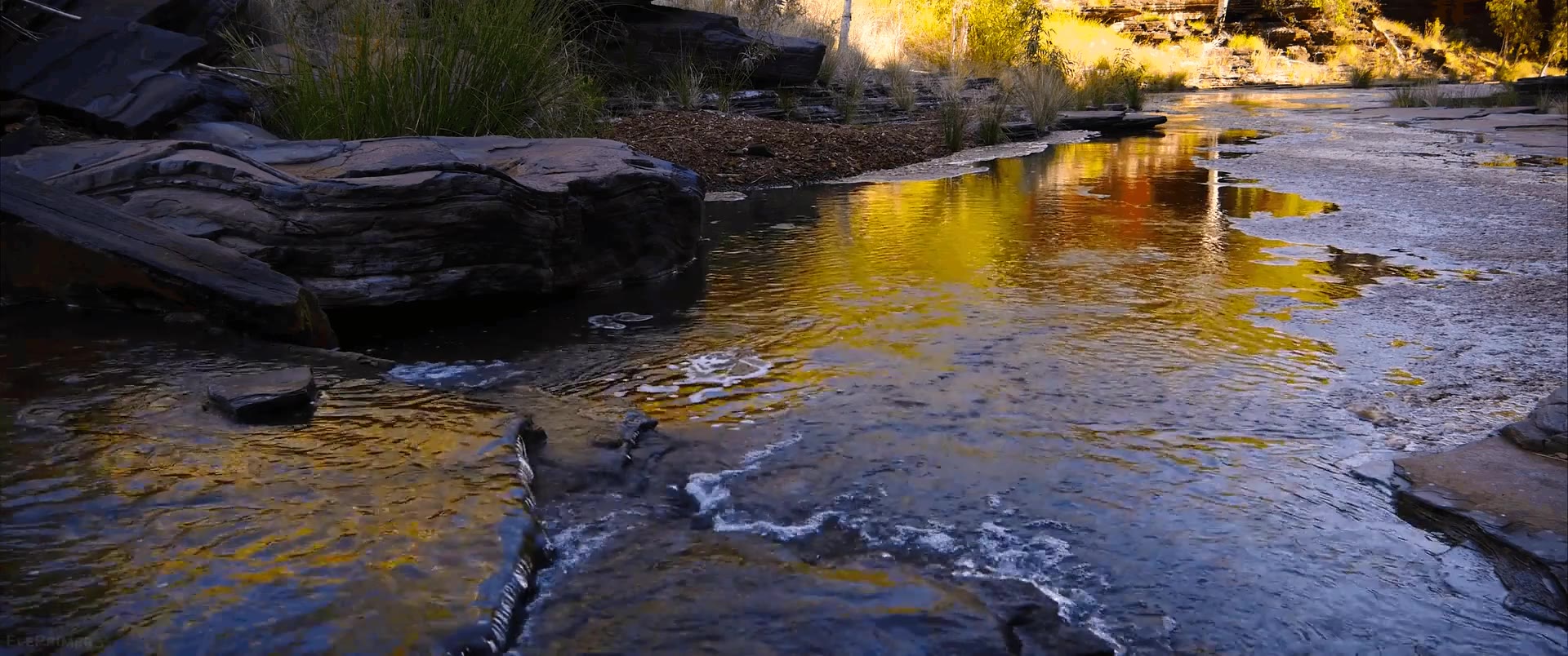 River 🌊