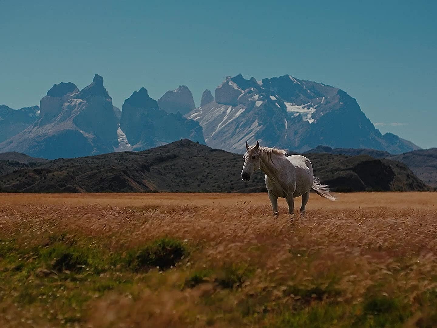 Patagonia