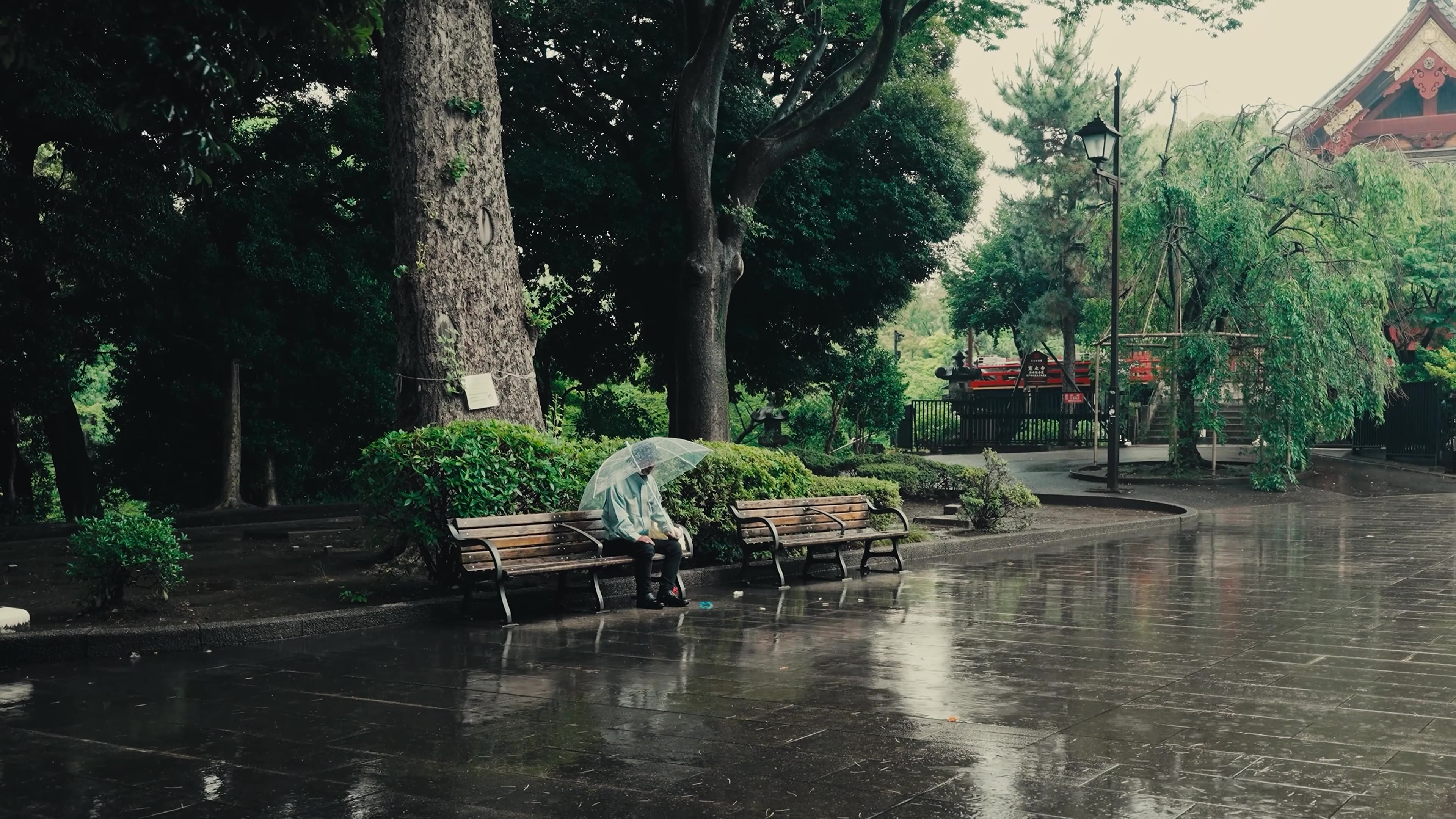 Rain in Tokyo